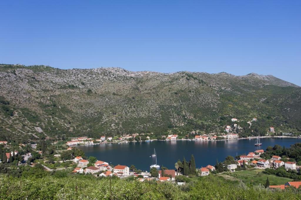 Villa Malfi Dubrovnik Room photo